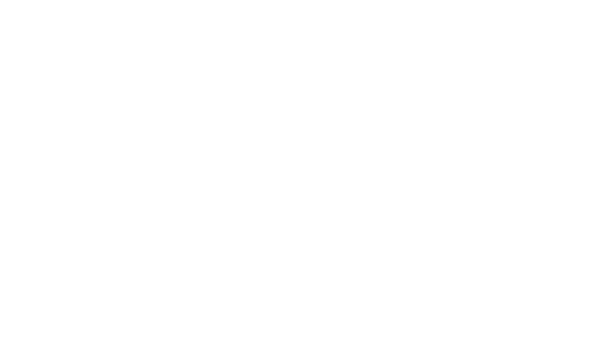 ARSC 10 Ani